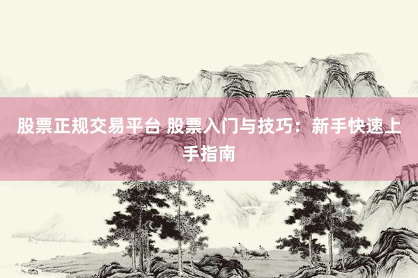 股票正规交易平台 股票入门与技巧：新手快速上手指南