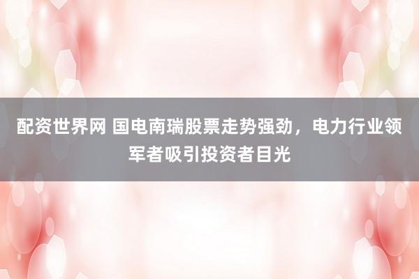 配资世界网 国电南瑞股票走势强劲，电力行业领军者吸引投资者目光