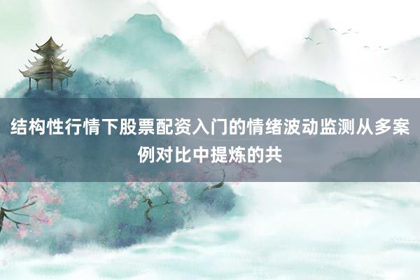 结构性行情下股票配资入门的情绪波动监测从多案例对比中提炼的共