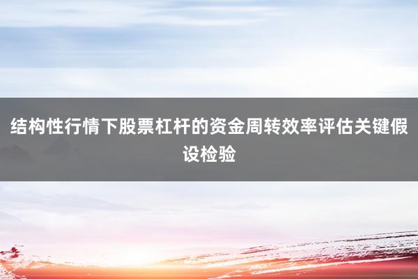 结构性行情下股票杠杆的资金周转效率评估关键假设检验